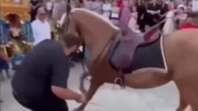 Τύρναβος: Χτυπούσαν άλογα για να τα αναγκάσουν να «προσκυνήσουν» μια εικόνα