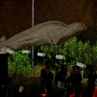 H φάλαινα Μπελούγκα που είχε εγκλωβιστεί στον Σηκουάνα πέθανε κατά τη μεταφορά της