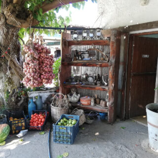 Αν βρεθείτε στα Χανιά, θα ζήσετε ένα μαγικό παραμύθι στον Κήπο της Φροσύνης