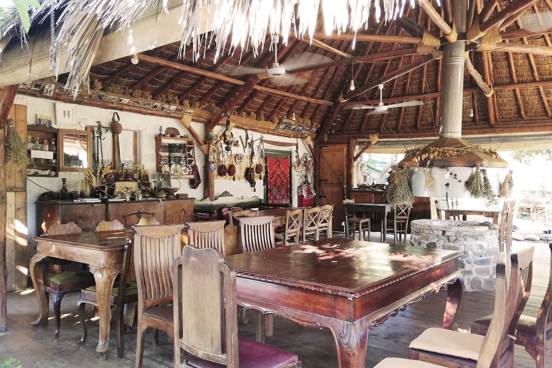 Ο κήπος τση Φροσύνης