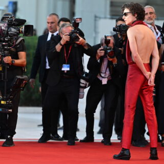 Timothée Chalamet: Τρέλανε μας κι άλλο, μπορείς!