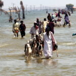 Πώς η κλιματική κρίση επηρεάζει την ανθρώπινη υγεία