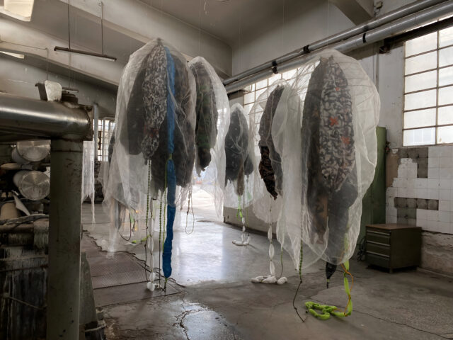 The Butterfly Effect: Όταν το εργοστάσιο κλωστοϋφαντουργίας «Πεταλούδα» γίνεται έμπνευση