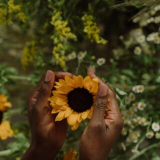 Τα ηλιοτρόπια του Bαν Γκογκ «πονάνε» πιο πολύ απ’ τον πλανήτη, αλήθεια;