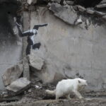 Η τέχνη του Banksy στα ερείπια τoυ Kιέβου