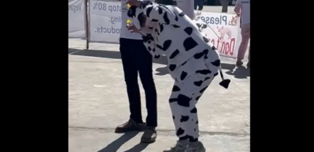 COP27: Ακτιβιστές ντυμένοι ζώα διαδήλωσαν για το ρόλο της κρεατοφαγίας στην κλιματική κρίση (ΒΙΝΤΕΟ)