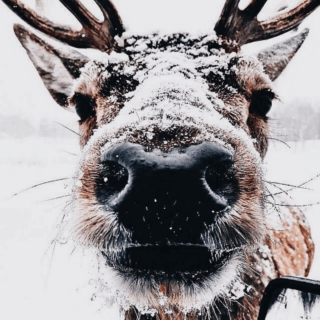 Πέντε λογαριασμοί στο instagram για να ανεβάσεις τη Χριστουγεννιάτικη σου διάθεση