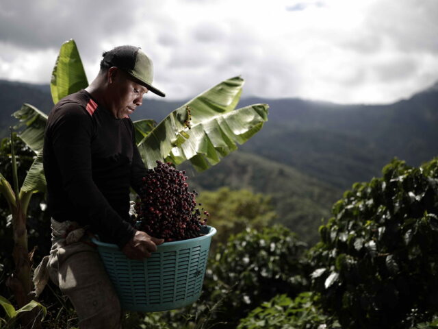 Πρωινός καφές από τα υψίπεδα της Κόστα Ρίκα