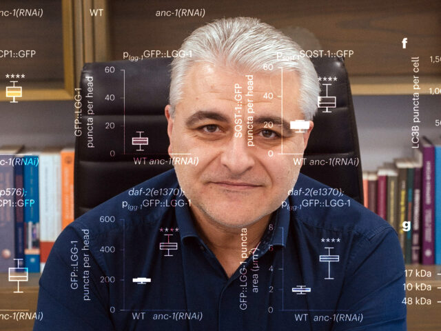 Καθηγητής Νεκτάριος Ταβερναράκης: Ανακαλύψαμε μηχανισμό που ρυθμίζει τη γήρανση