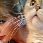 Αυτά είναι τα πλουσιότερα και πιο επιδραστικά κατοικίδια στον κόσμο