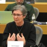 Στην Επιτροπή LIBE της Ευρωβουλής η υπόθεση του Ζακ Κωστόπουλου [ΒΙΝΤΕΟ]