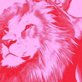 Να φορέσω ένα λιοντάρι ή να μη φορέσω ένα λιοντάρι;