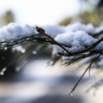 Νέο κύμα κακοκαιρίας με χιόνια σήμερα και αύριο