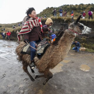 Τα παιδιά που τρέχουν με τα λάμα προς τα σύννεφα