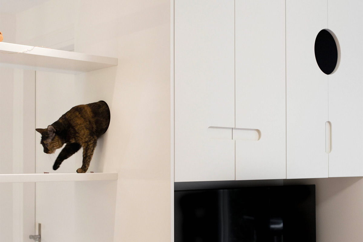 Διαμέρισμα στην Κυψέλη για τρεις ανθρώπους και μία γάτα