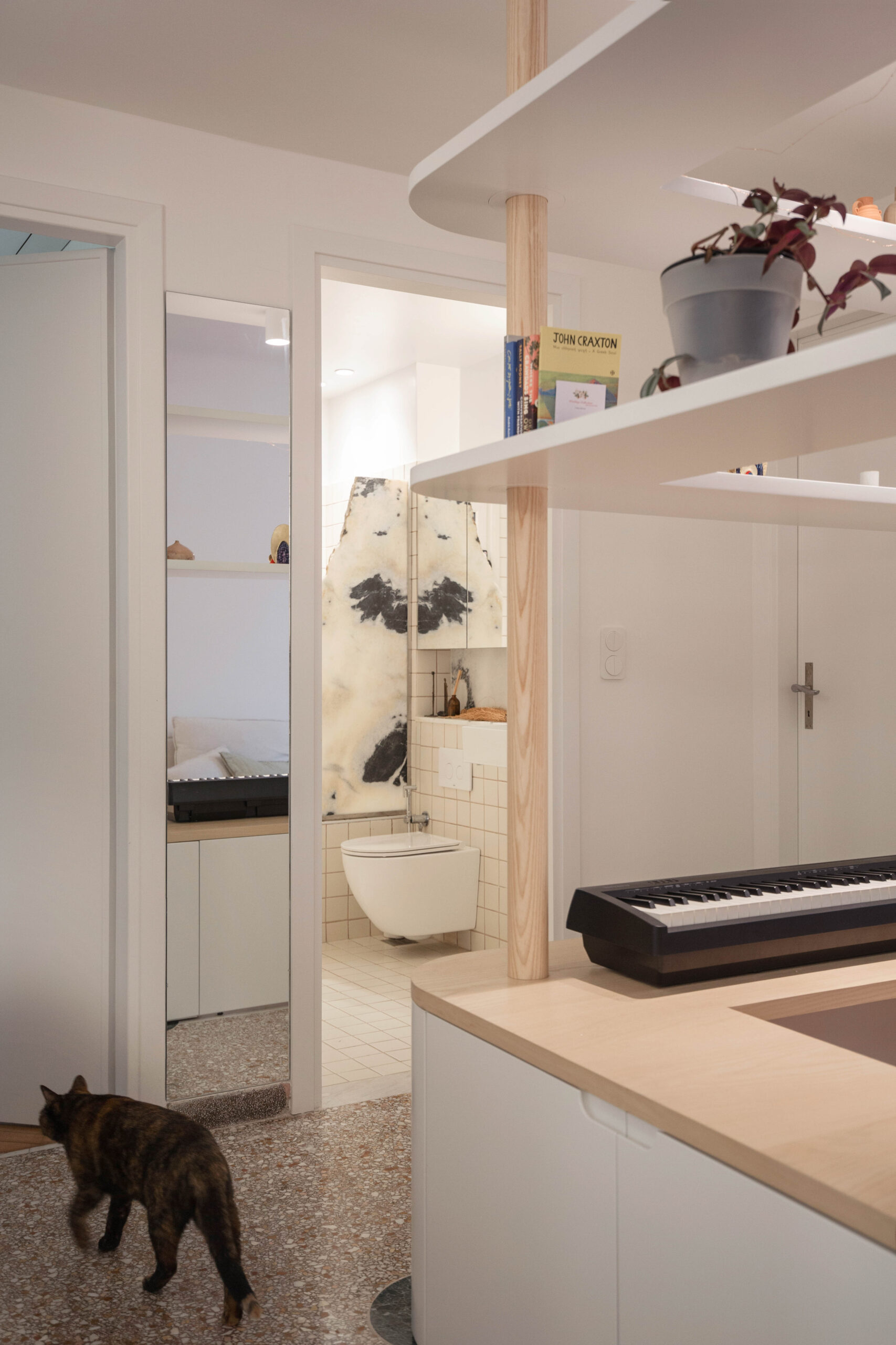 Διαμέρισμα στην Κυψέλη για τρεις ανθρώπους και μία γάτα