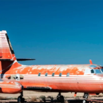 Το ιδιωτικό τζετ του Έλβις Πρίσλεϊ πωλήθηκε σε δημοπρασία