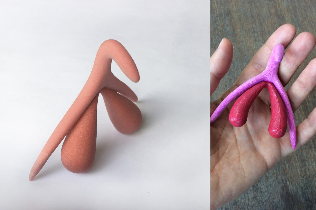 έφηβοι και πορνό -Κλειτορίδα - 3D μοντέλο σε φυσικό μέγεθος