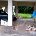 Παρέμβαση εισαγγελέα για τις εικόνες με την ηλικιωμένη στον Ωρωπό – Σε αργία ένας υπάλληλος για το περιστατικό