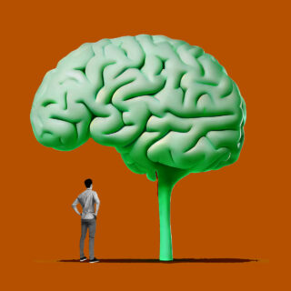 Έχεις αναρωτηθεί πώς γερνάει ο εγκέφαλος καθ’ όλη τη διάρκεια της ζωής μας;