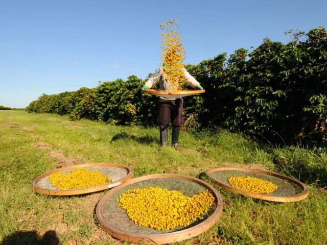 Κάθε Single Estate καφές σε ταξιδεύει σε όλο τον κόσμο χωρίς καν να επιβαρύνει το budget σου