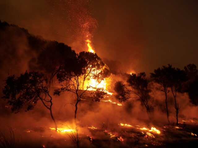 Δασικές πυρκαγιές: Πόσο προετοιμασμένοι είμαστε μετά τα ζοφερά «ρεκόρ» του ’23
