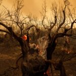 Πολύ υψηλός κίνδυνος πυρκαγιάς αύριο σε Αττική, Στερεά Ελλάδα και Πελοπόννησο