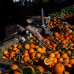 Στη Θεσσαλονίκη η πρώτη πανελλαδικά απογευματινή λαϊκή αγορά