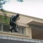 Ελεύθεροι οι δυο νεαροί που προκάλεσαν φωτιά και πηδούσαν από ταράτσα σε ταράτσα