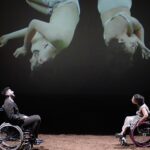 Μυστήριο 127, Ερωτευμένα άλογα: Μια παράσταση – ύμνος στην πηγαία ζωτικότητα του έρωτα