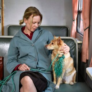 Υπάρχει χώρος για κωμωδίες στο 76o Φεστιβάλ Καννών; Ο Μισέλ Γκοντρί και ο Άκι Καουρισμάκι αποδεικνύουν πως ναι