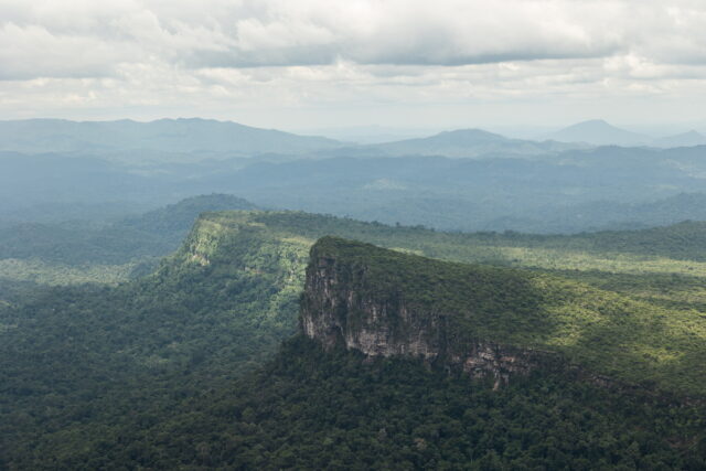 Βραζιλία: Πέντε μήνες με τον Λούλα στην προεδρία, η αποψίλωση του τροπικού δάσους του Αμαζονίου μειώνεται κατά 31%