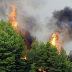 Πυρκαγιά σε δασική έκταση στα Μέθανα