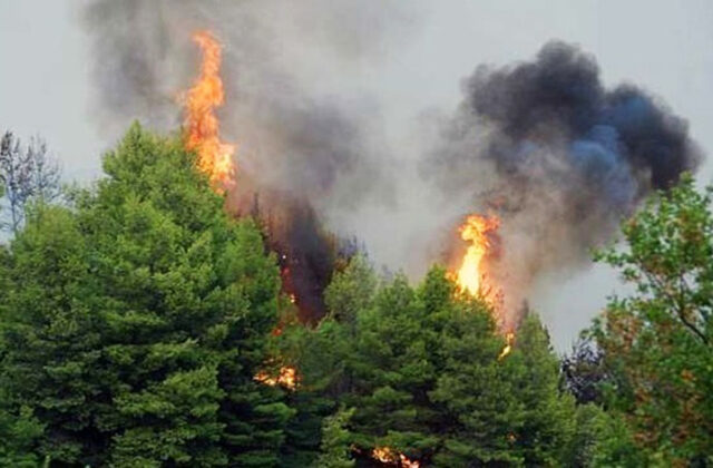 Πυρκαγιά σε δασική έκταση στα Μέθανα