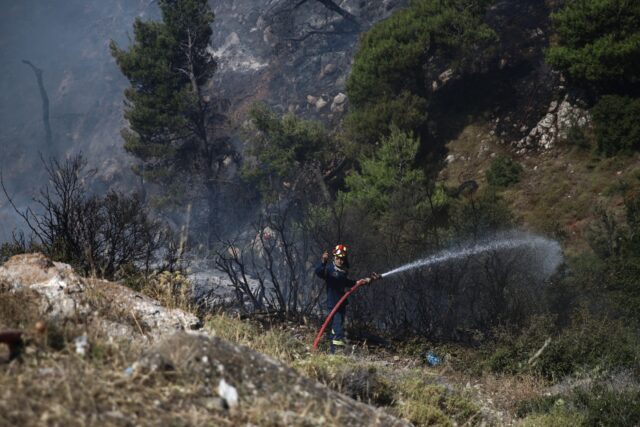 Μεγάλη φωτιά ξέσπασε στην Σπάρτη [ΒΙΝΤΕΟ]