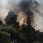 Εύβοια: Νέα φωτιά στην Κύμη