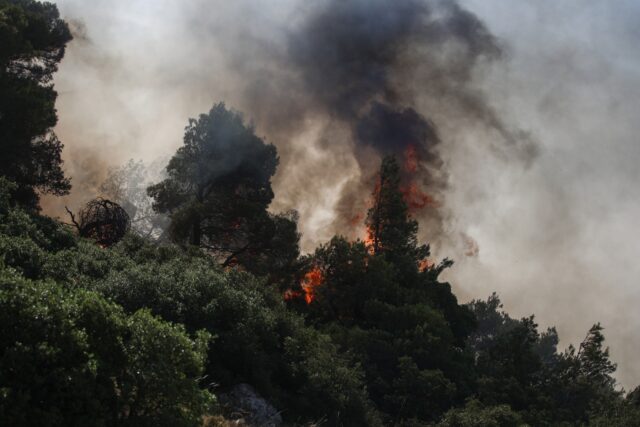 Φωτιά καίει δάσος στις Ερυθρές Αττικής