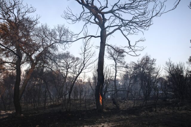 Πολύ υψηλός κίνδυνος πυρκαγιάς το Σάββατο σε έξι περιφέρειες της χώρας