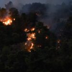 Βόλος: Φωτιές σε Βελεστίνο, Αλμυρό και Νότιο Πήλιο