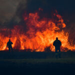 Σε εξέλιξη δύο πυρκαγιές σε αγροτική και δασική έκταση του Δήμου Σουφλίου