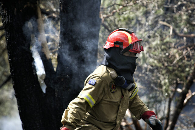 Αμαλιάδα: Φωτιά σε αγροτοδασική έκταση στην περιοχή Αετορράχη