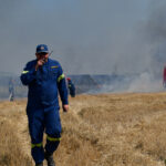 Φωτιά στα Νέα Ρόδα Χαλκιδικής