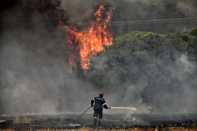 Σέρρες: Φωτιά στη Νέα Ζίχνη