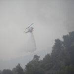 Φωτιά ξέσπασε στα Καλά Νερά Μαγνησίας [ΒΙΝΤΕΟ]