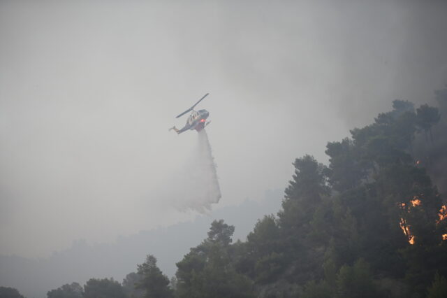 Φωτιά ξέσπασε στα Καλά Νερά Μαγνησίας [ΒΙΝΤΕΟ]