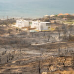 Συγκέντρωση διαμαρτυρίας στη Ρόδο για τον όλεθρο των δασικών πυρκαγιών [ΒΙΝΤΕΟ]