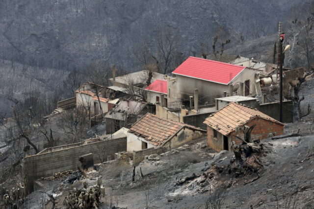 Σε πύρινο κλοιό για τρίτη ημέρα η Αλγερία: Ενεργές ελάχιστες εστίες, οι περισσότερες φωτιές κατασβέστηκαν [ΒΙΝΤΕΟ]