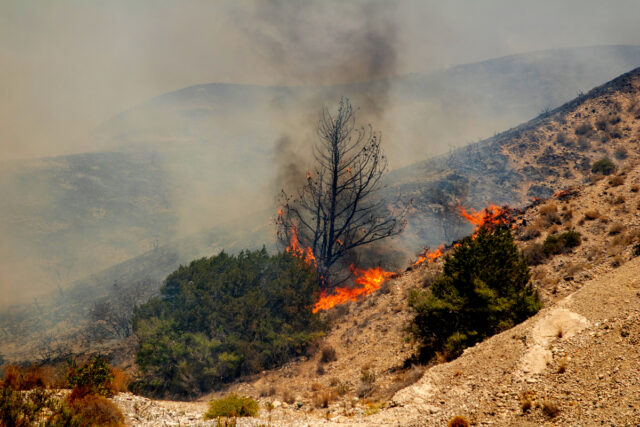 Πυρκαγιά ξεσπασε στην Χίο