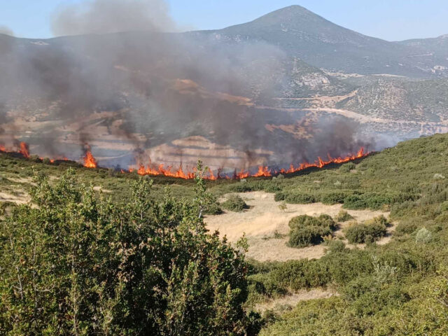 Βελτιωμένη εικόνα στα πύρινα μέτωπα σε Μαγνησία, Ρόδο, Λαμία, Κέρκυρα και Κάρυστο