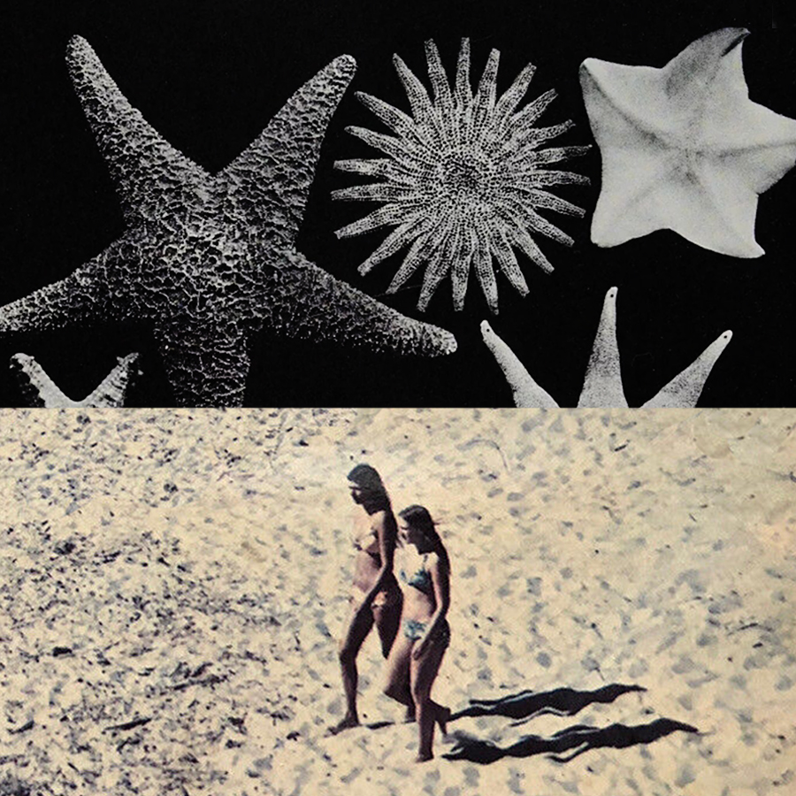 popaganda summer ζώδια - Δίδυμος